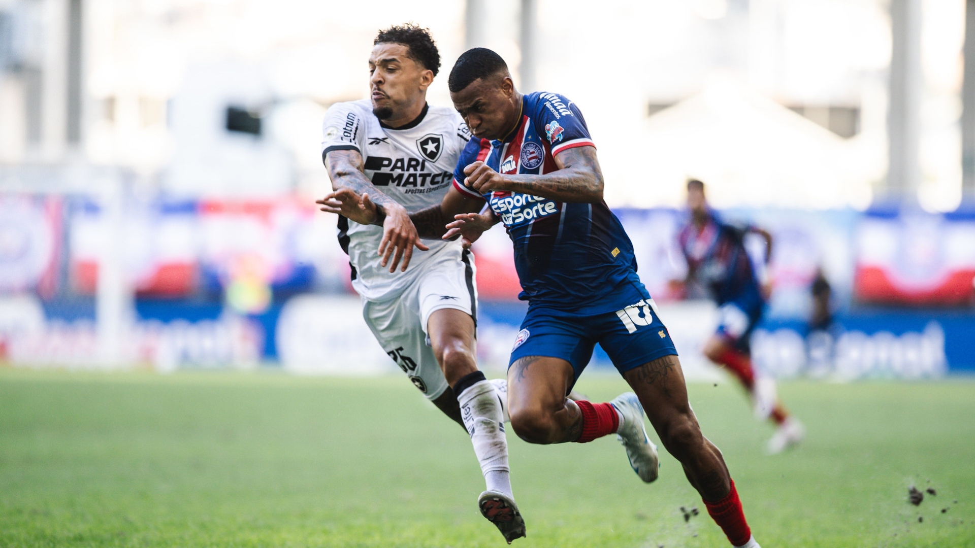 Bahia vs Botafogo - emocionante confronto na Arena Fonte Nova