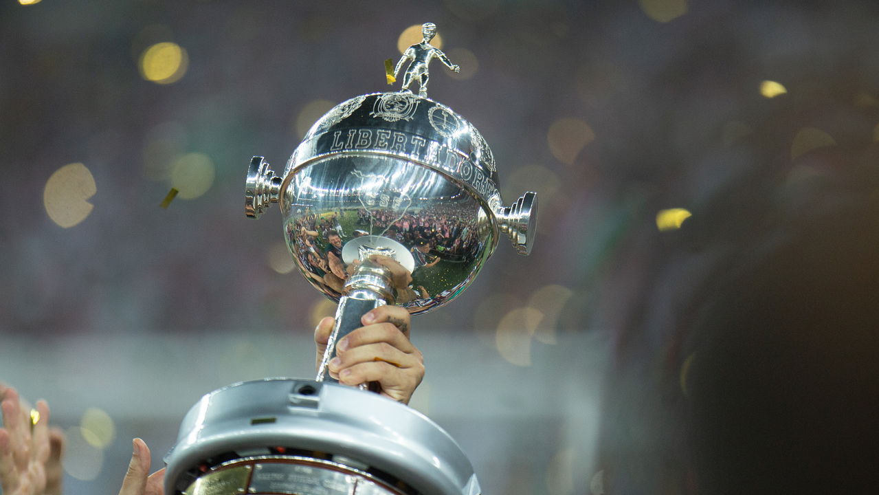 Celebração da Vitória do Botafogo na Libertadores