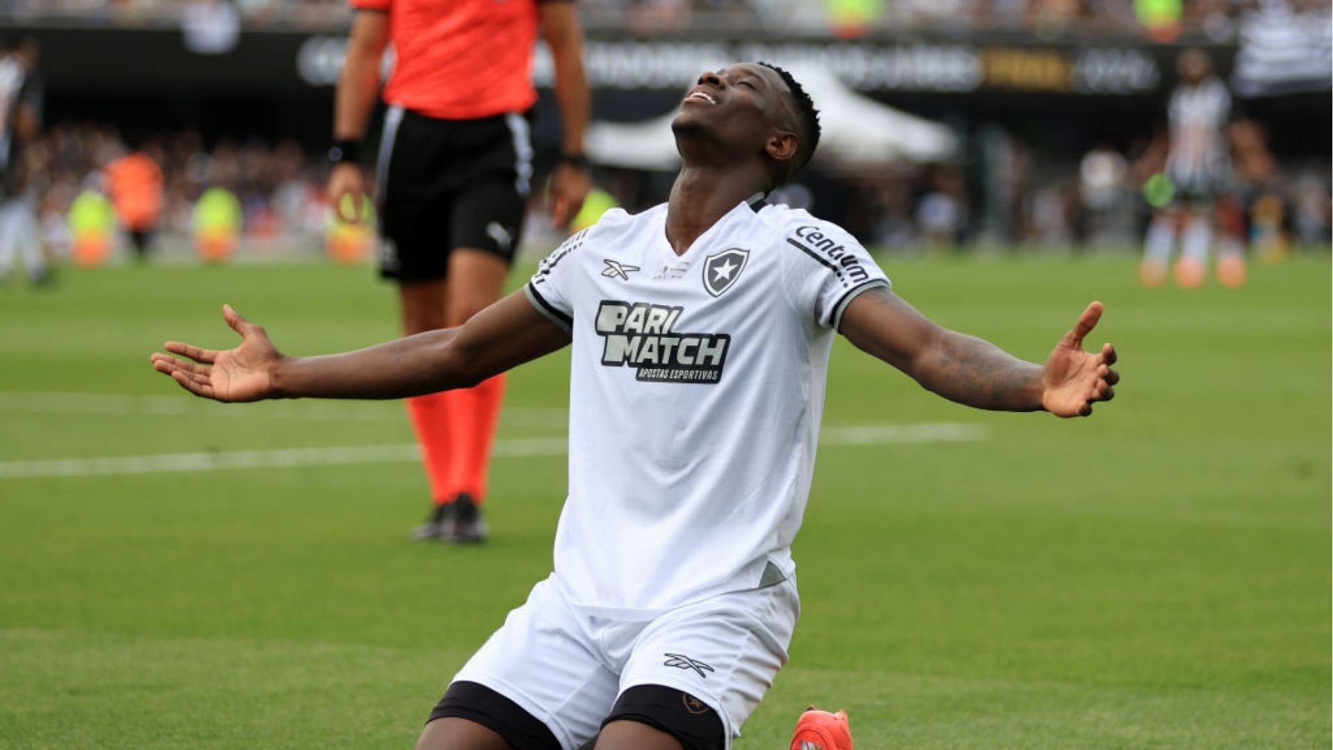 Botafogo vence a Copa Libertadores