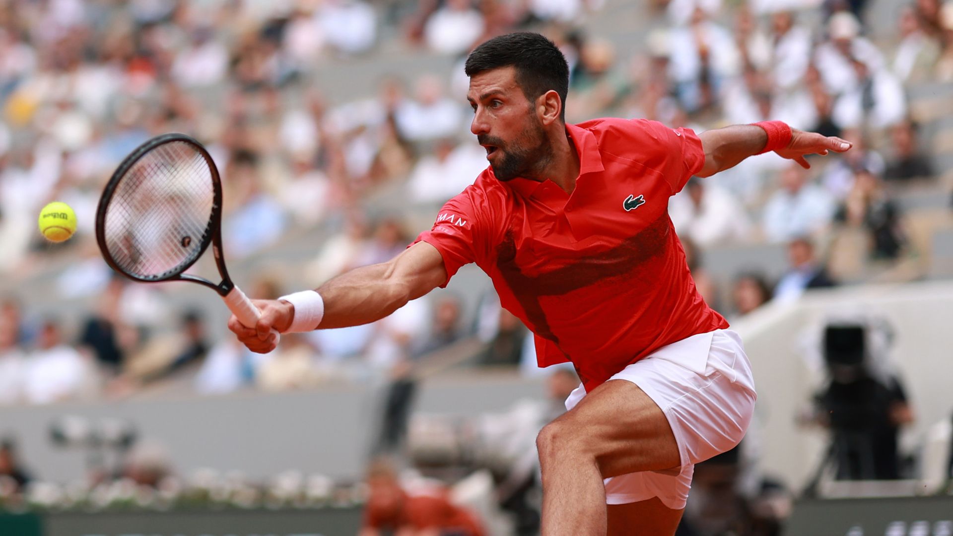 Novak Djokovic comemora vitória em Roland Garros 2025